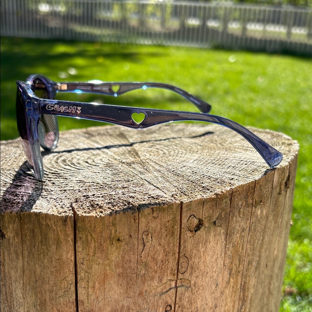 Coach Violet Gradient Sunglasses - Picture 3 of 3